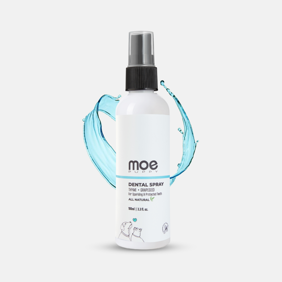 Dental Spray for Dogs & Cats