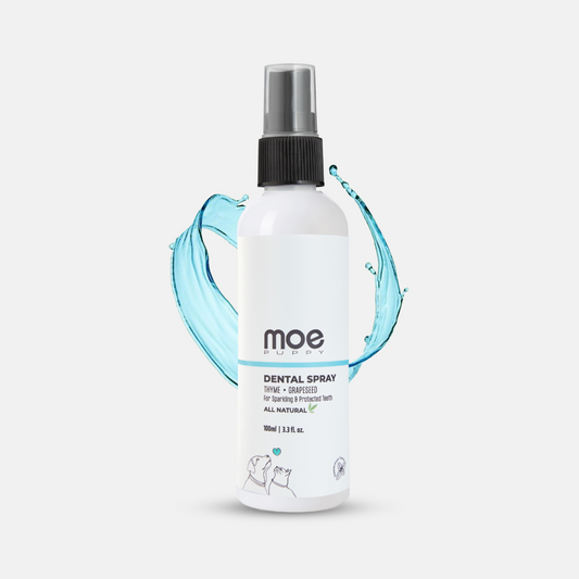 Dental Spray for Dogs & Cats