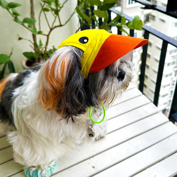 Dog O Bow- Duckie Cap - (S/L)