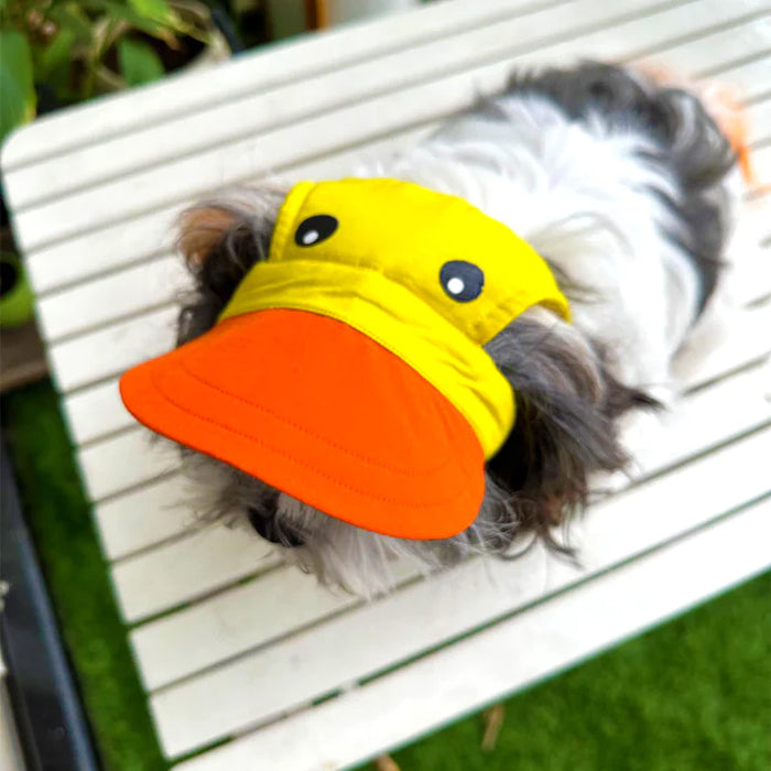 Dog O Bow- Duckie Cap - (S/L)