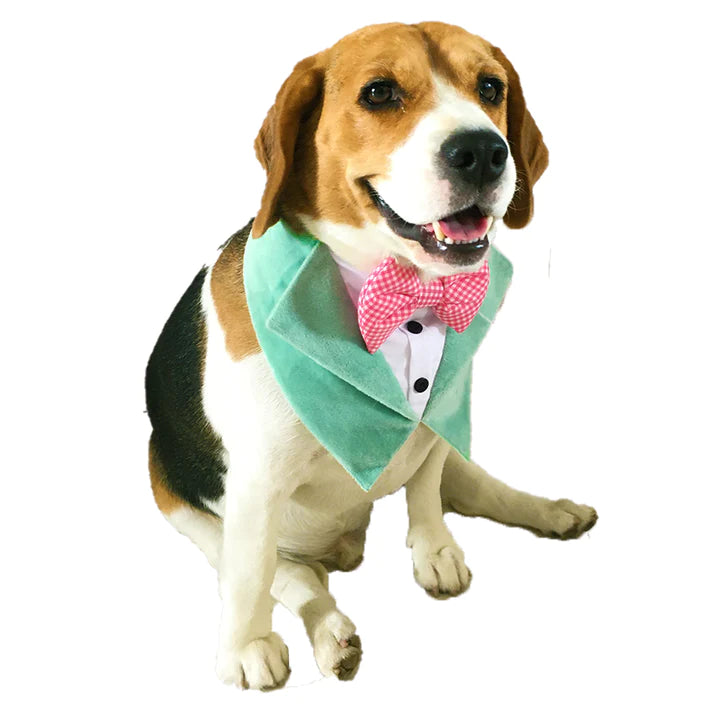 Velvet Tuxedo Vest Bandana