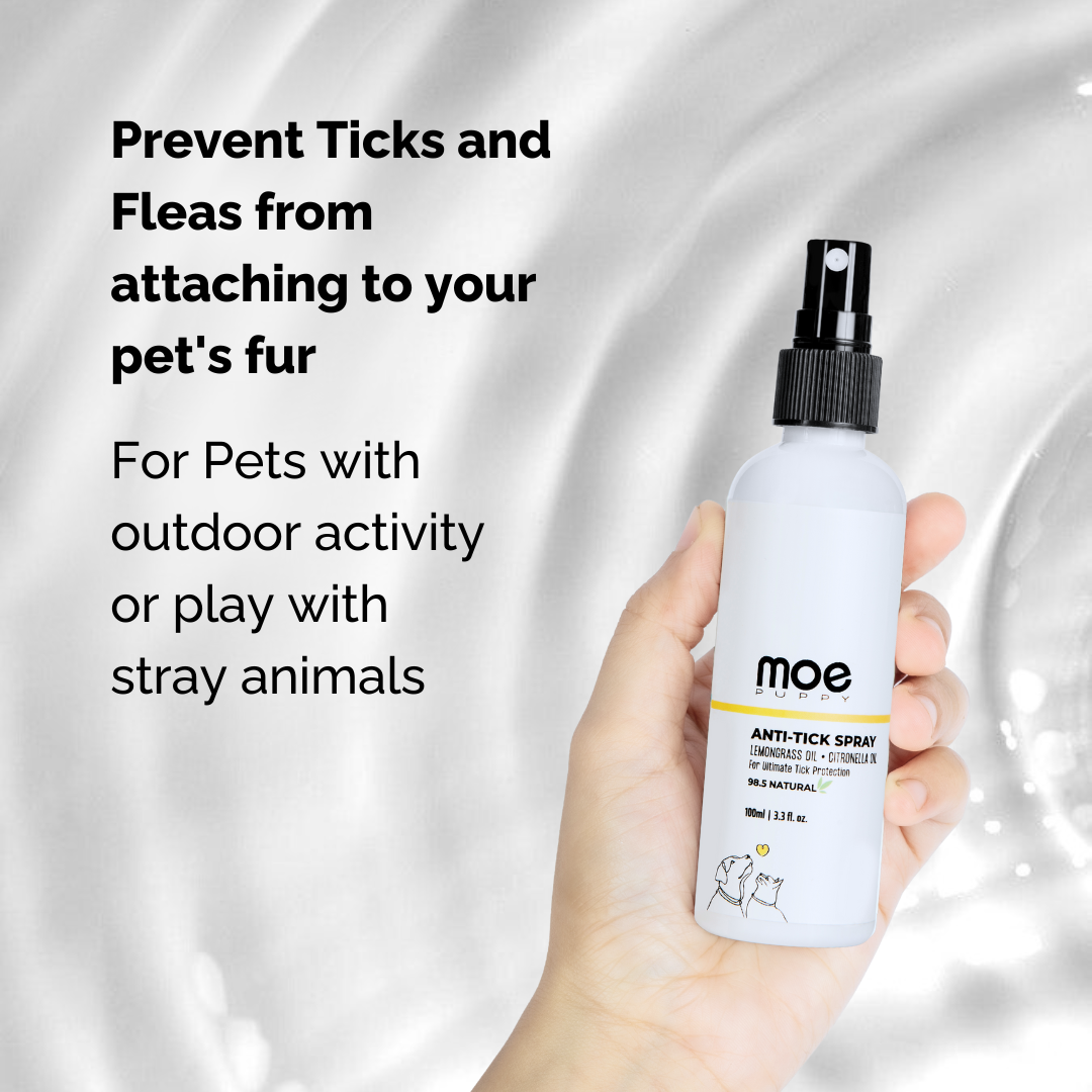 Anti Tick Spray for Dogs and Cats