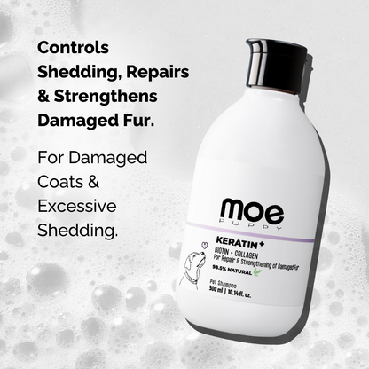 Keratin+Hairfall Shampoo For Dogs & Cats
