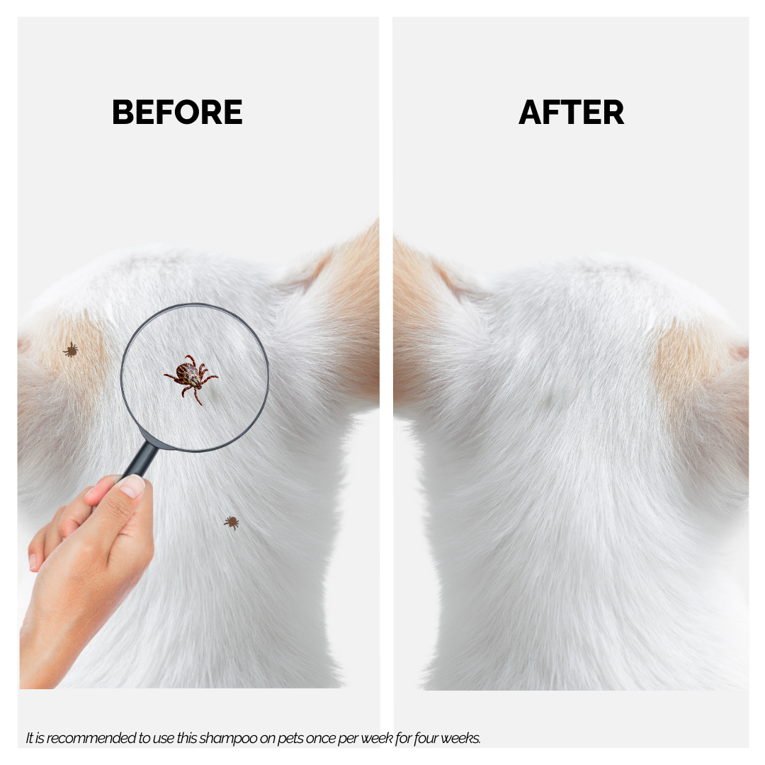 Tick Defence Shampoo for Dogs & Cats