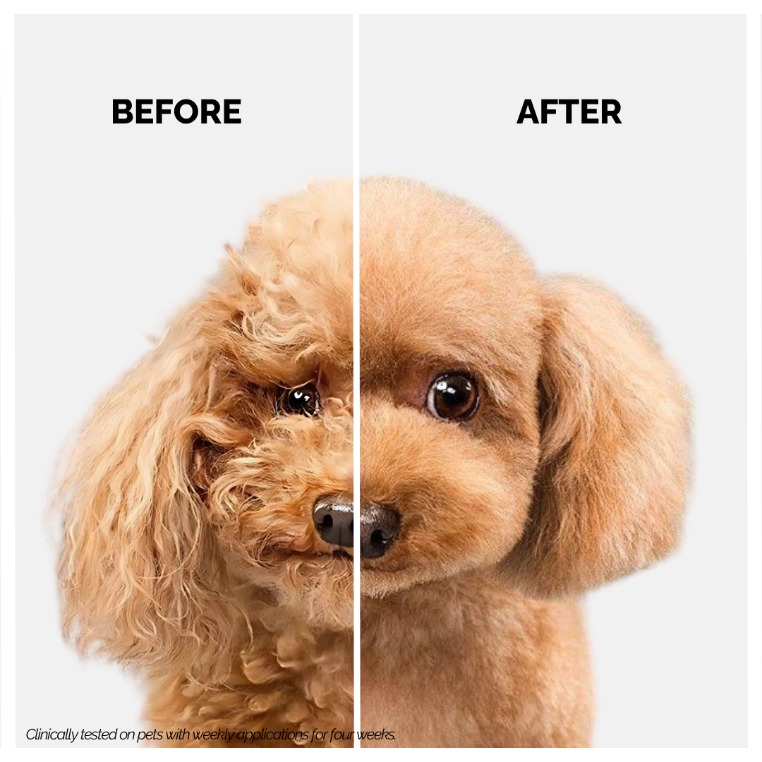 Moe Puppy Shampoo + Conditioner for Dogs & Cats