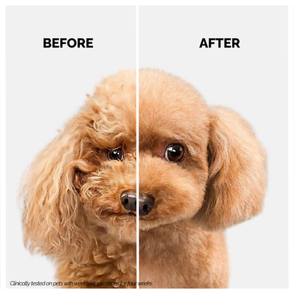 Moe Puppy Shampoo + Conditioner for Dogs & Cats
