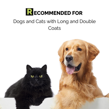 Moe Puppy Shampoo + Conditioner for Dogs & Cats