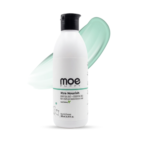 Xtra Nourish Medicated Shampoo Dogs/Cats