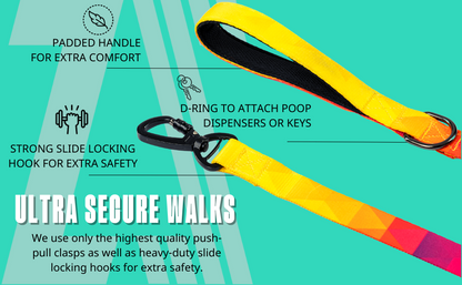 Zoomiez Solar Printed Dog Leash