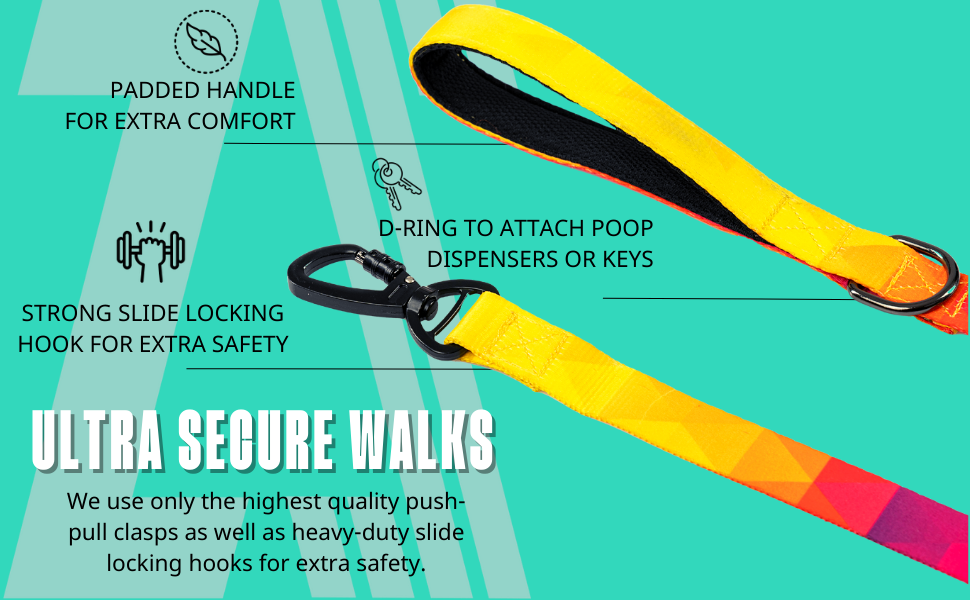 Zoomiez Solar Printed Dog Leash