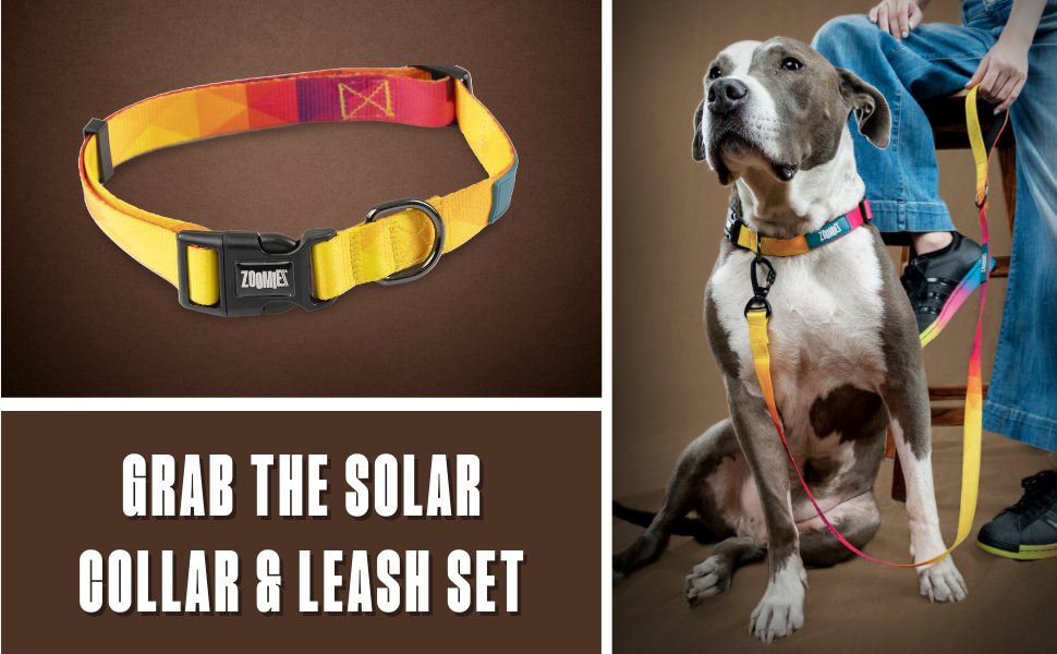 Zoomiez Solar Printed Dog Leash