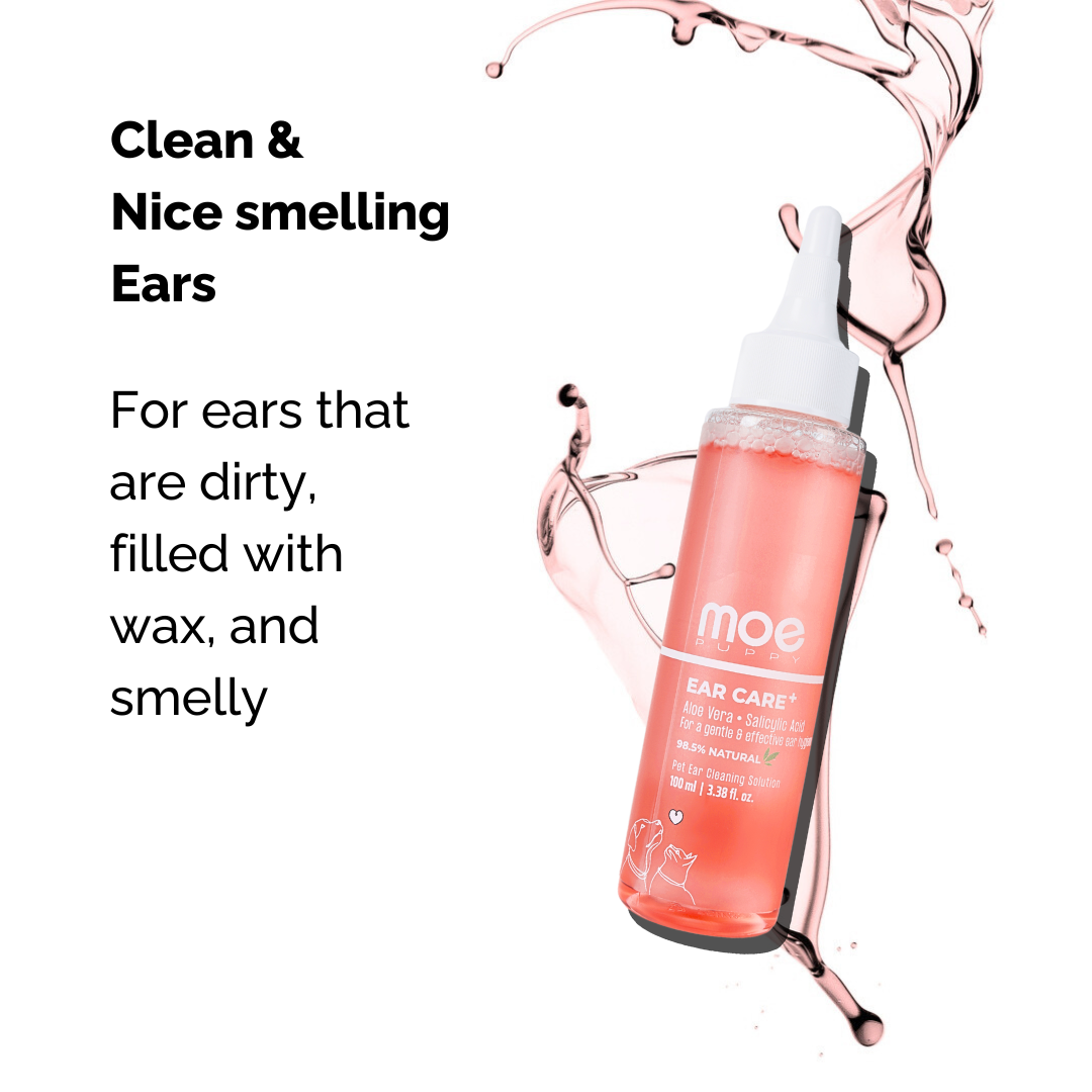 Ear Care 100ml for Dogs & Cats
