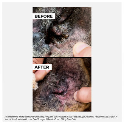 Ear Care 100ml for Dogs & Cats