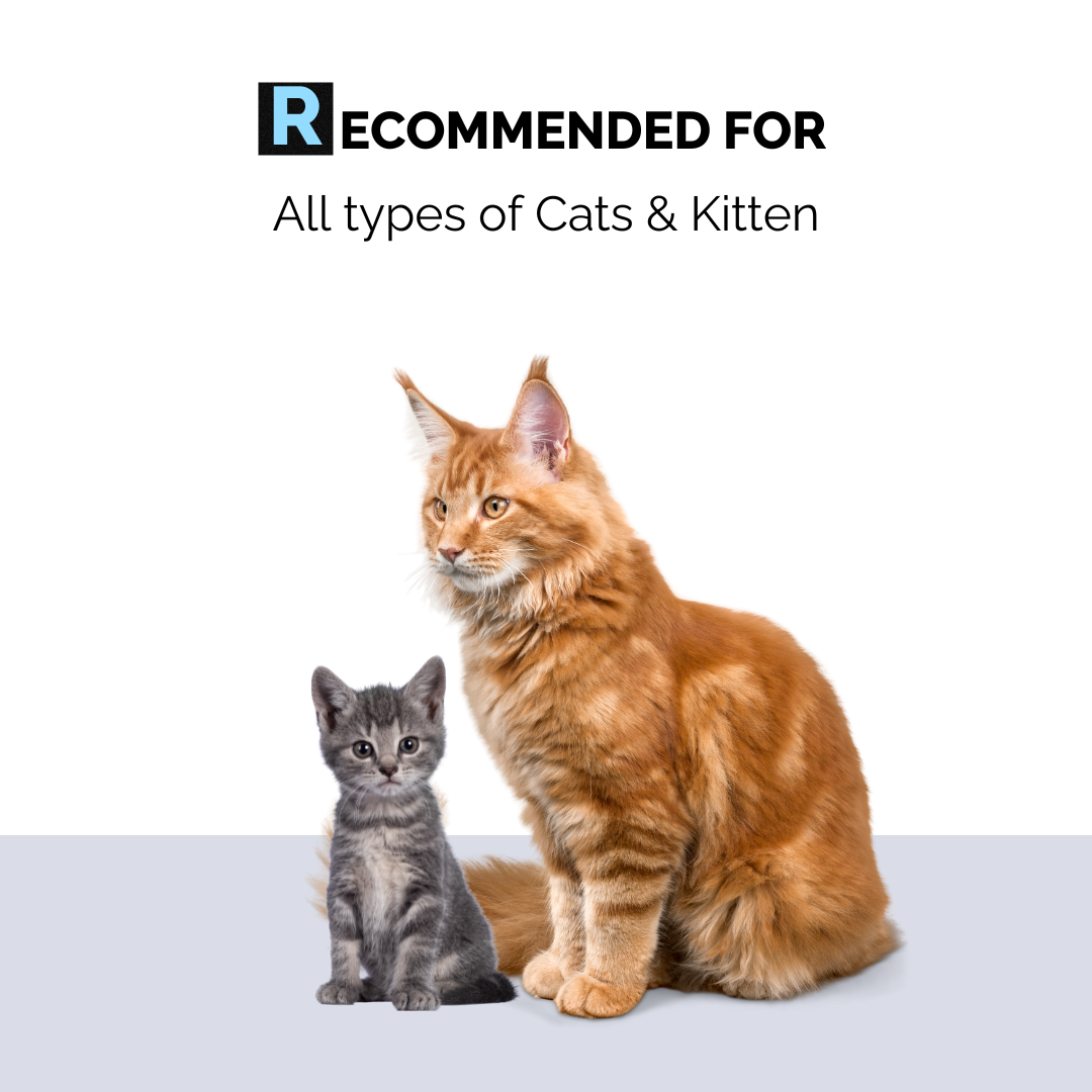 Foam Wash 300ml for Kittens & Cats