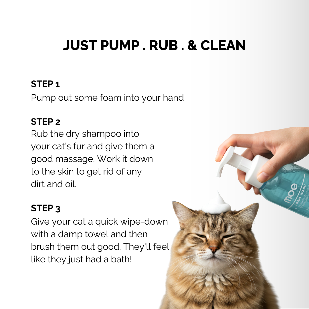 Foam Wash 300ml for Kittens & Cats