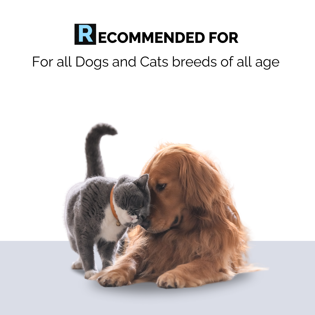 Rinse Free - Dry Shampoo for Dogs & Cats