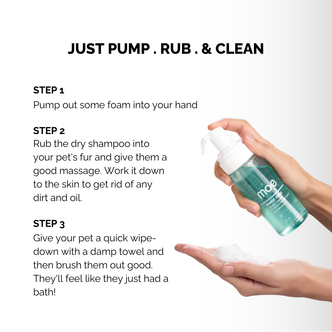 Rinse Free - Dry Shampoo for Dogs & Cats