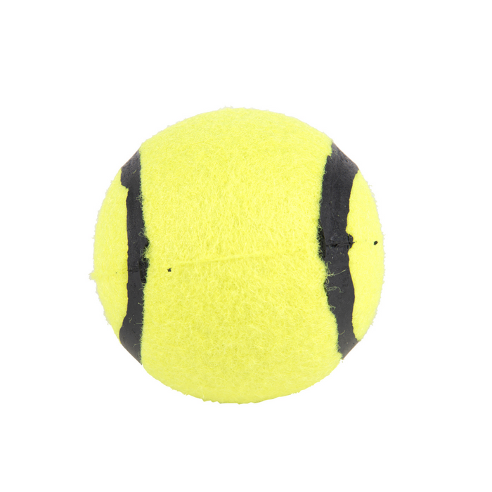 Fofos™: Sports Fetch Ball