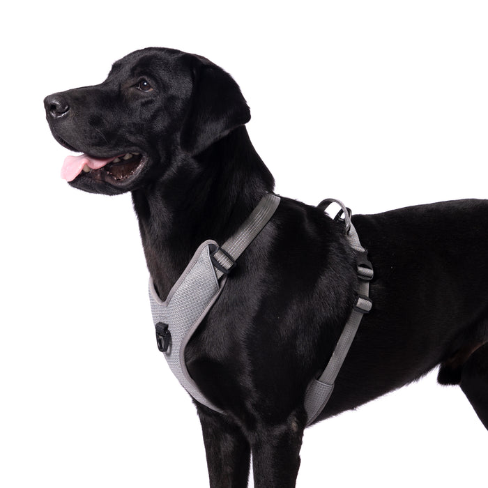 TRUELOVE HARNESS WITH REFLECTIVE FABRIC - Gray