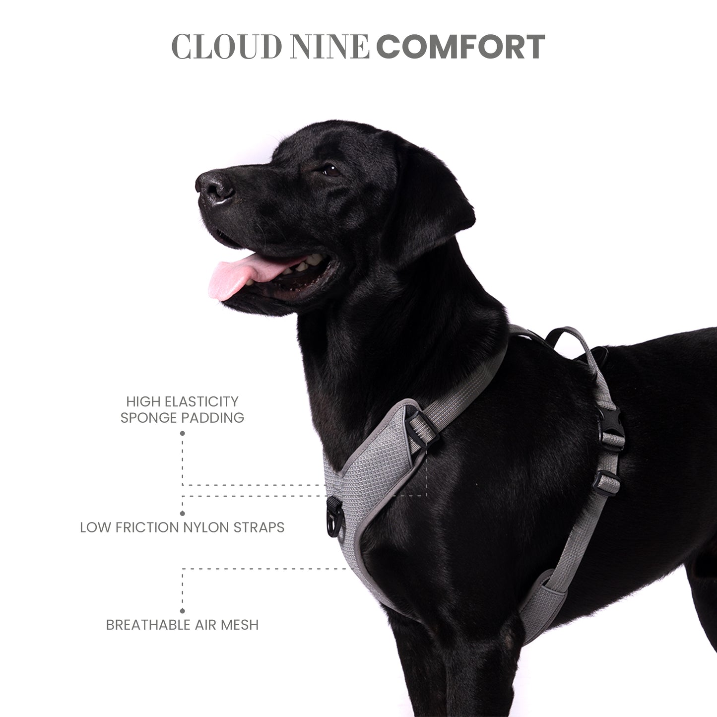 TRUELOVE HARNESS WITH REFLECTIVE FABRIC - Gray