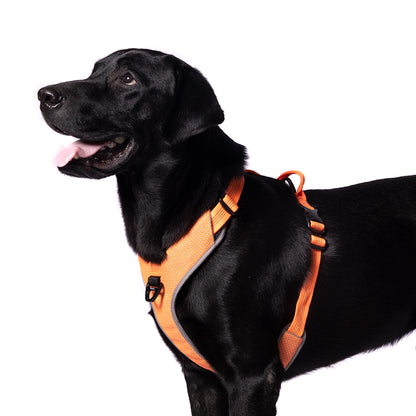 Truelove HARNESS WITH REFLECTIVE FABRIC - Orange