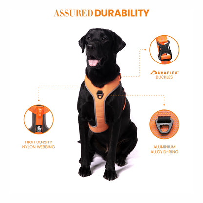 Truelove HARNESS WITH REFLECTIVE FABRIC - Orange