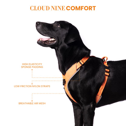 Truelove HARNESS WITH REFLECTIVE FABRIC - Orange