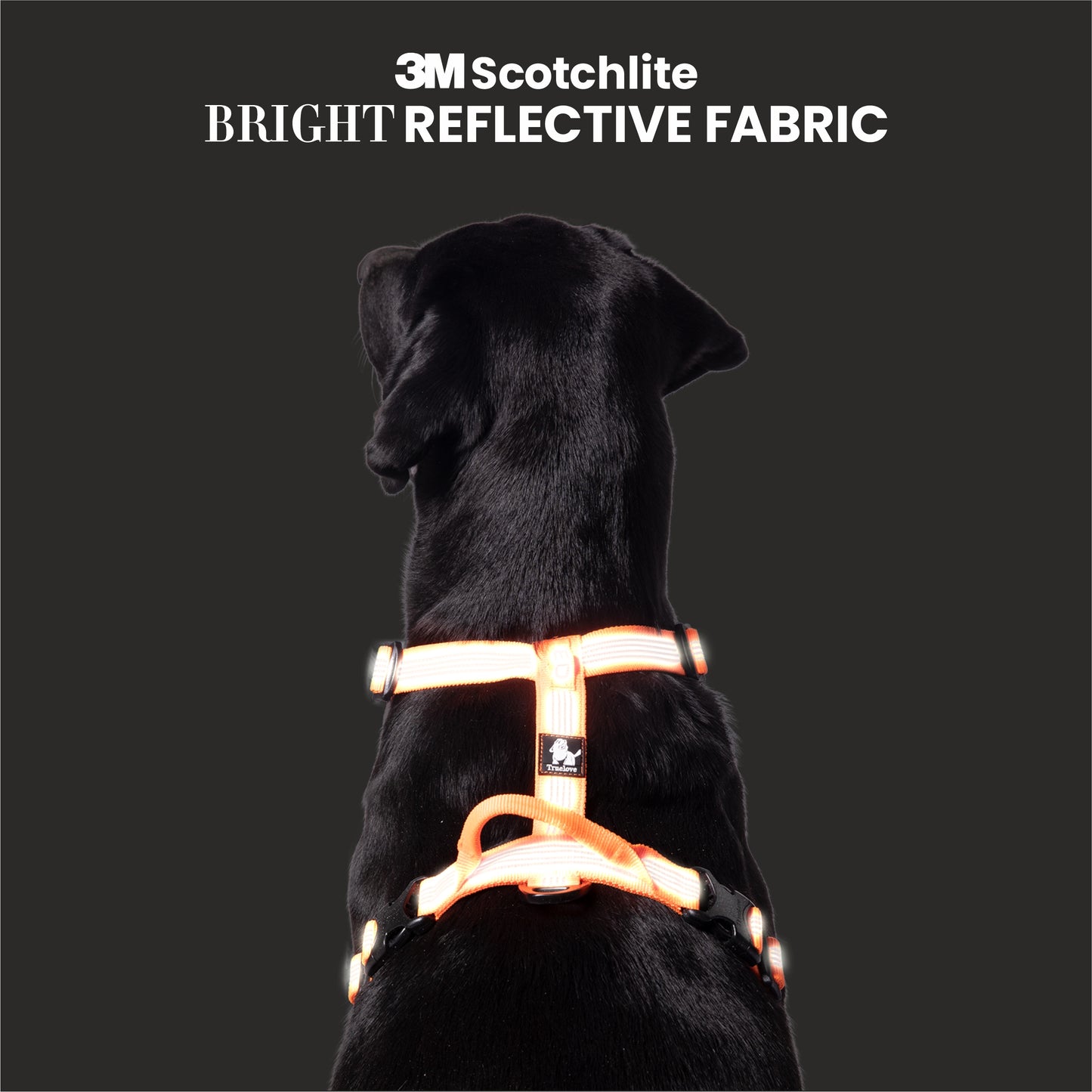 Truelove HARNESS WITH REFLECTIVE FABRIC - Orange