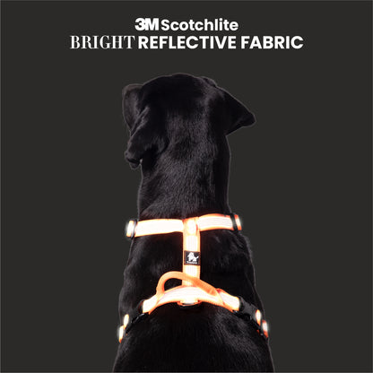 Truelove HARNESS WITH REFLECTIVE FABRIC - Orange