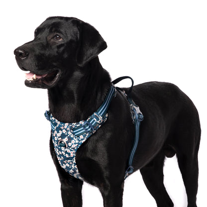 TRUELOVE Floral No Pull Pet Harness - Saxony Blue