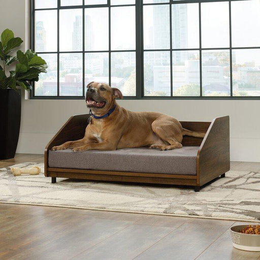 Boxy Pet Sofa - ThePetNest