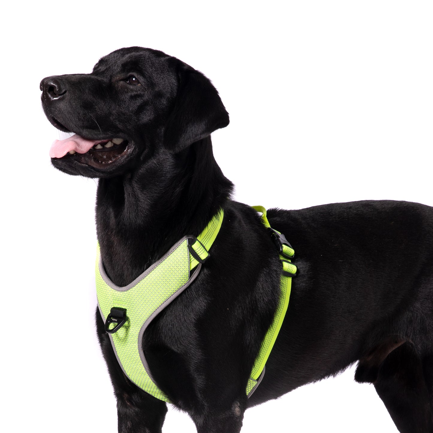 TRUELOVE HARNESS WITH REFLECTIVE FABRIC - NEON YELLOW